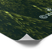 フラクタル林 ポスター (角)