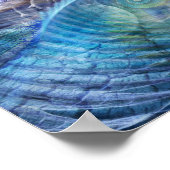 フラクタル海 ポスター (角)