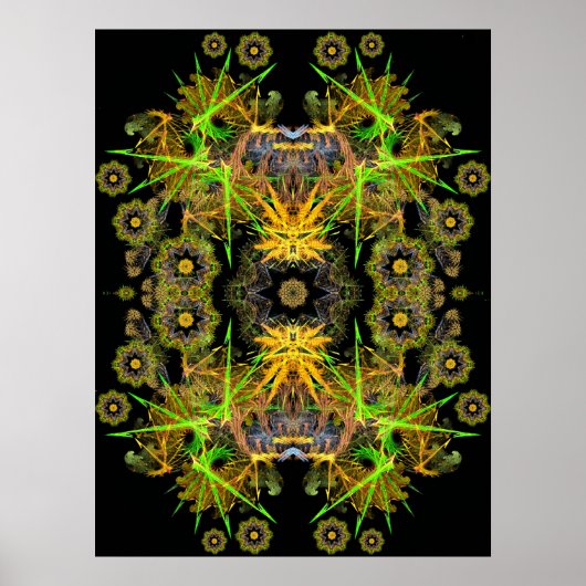 フラクタル館ポスター ポスター (正面)