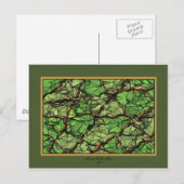 フラクチャドグリーンII ポストカード (正面/裏面)