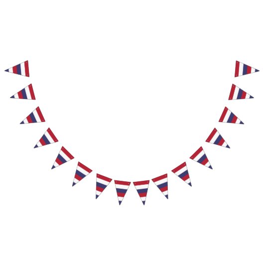 フラグの色ストライプの赤白青 バンティングフラッグ (全)