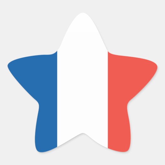 フラグステッカー フランス 星シール (正面)