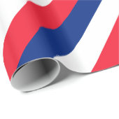 フラグフランスのテーマラッピング紙 ラッピングペーパー (ロールコーナー)