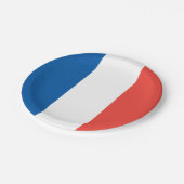 フラグフランスの: Tricolor Bastille Dayパーティー ペーパープレート (アングル)
