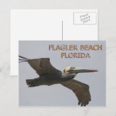 フラグラービーチペリカンポストカード ポストカード (正面/裏面)