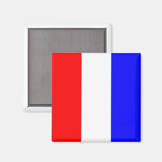 フラグ航海のアルファベット記号T (タンゴ) マグネット (正面/裏面)