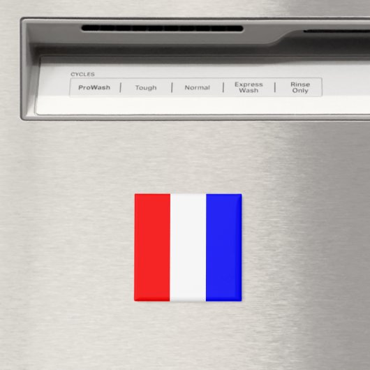 フラグ航海のアルファベット記号T (タンゴ) マグネット (インサイチュ (食洗機))