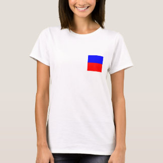 フラグ航海のE Tシャツ