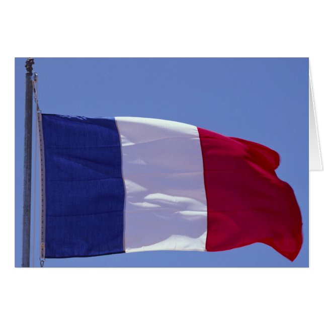 フラグ フランス (正面横)