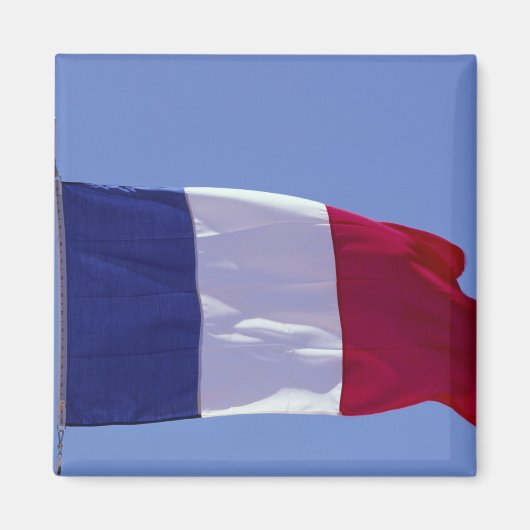 フラグ フランス マグネット (正面)