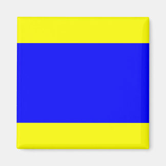 フラグ「D」航海のデルタ・マグネット マグネット