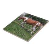 フラシ絵を描ーという馬の馬 タイル (側面)