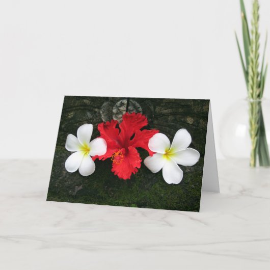 フラジィパニーの３つ組 カード (正面)