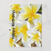 フラジーパニの花束, 誕生日ポストカード ポストカード (正面)