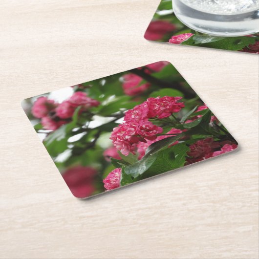 フラズピンクフローラカスタムスクエアコースター スクエアペーパーコースター (アングル)
