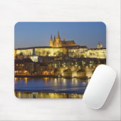 フラダニー城 マウスパッド (マウス)