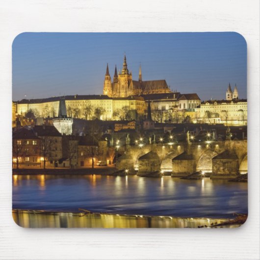 フラダニー城 マウスパッド (正面)