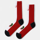 フラッグイタリアンコートの腕 ソックス (左)