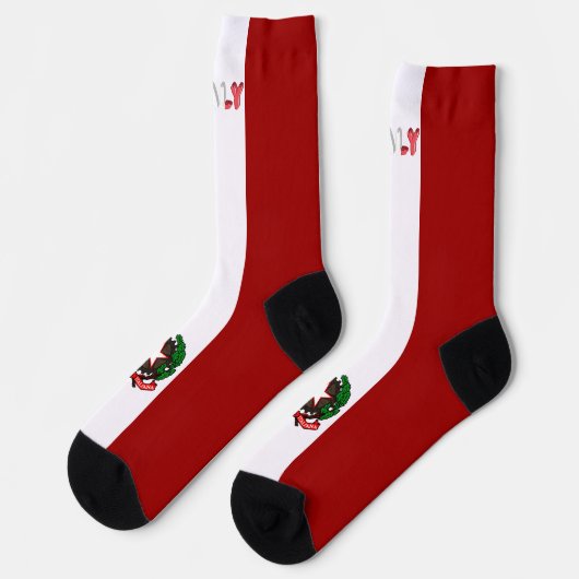 フラッグイタリアンコートの腕 ソックス (左)