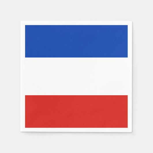 フラッグシュレスウィッグ – ホルシュタイン紙ナプキンス スタンダードカクテルナプキン (正面)