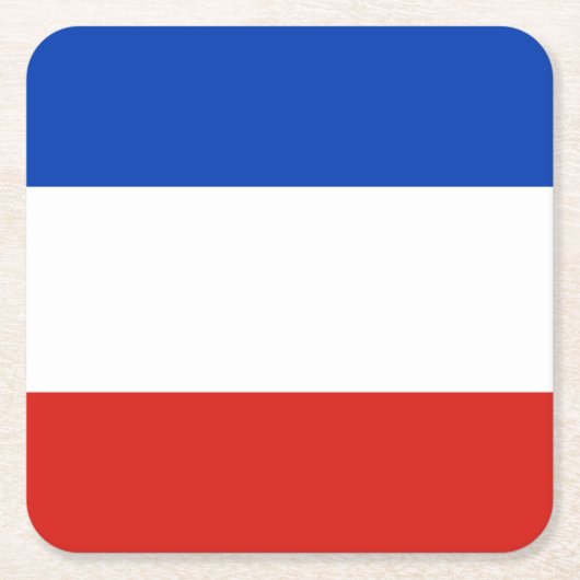 フラッグシュレスウィヒ – ホルシュタイン広場紙コースター スクエアペーパーコースター (正面)