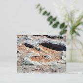 フラッグスタッフの北を追跡する恐竜 ポストカード (スタンド正面)