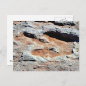 フラッグスタッフの北を追跡する恐竜 ポストカード (正面/裏面)