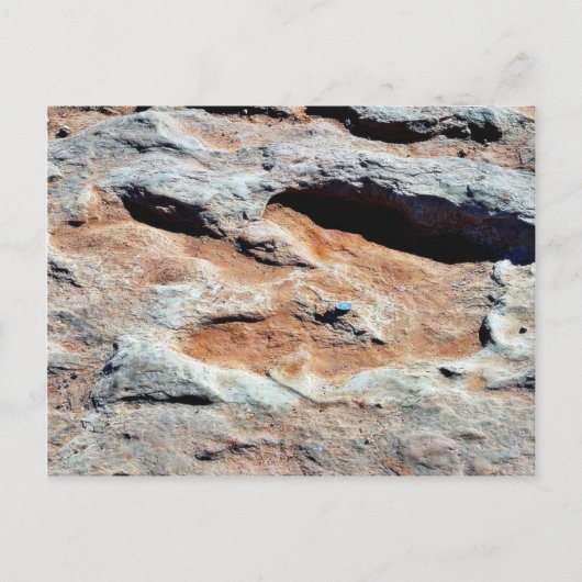 フラッグスタッフの北を追跡する恐竜 ポストカード (正面)