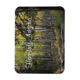 フラッグスタッフの居心地の良い場所 マグネット