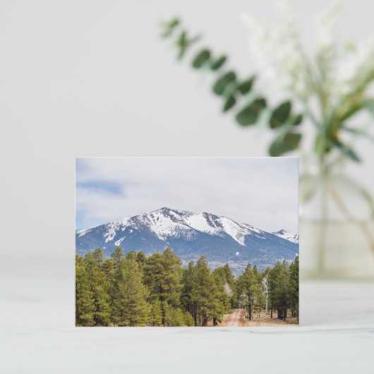 フラッグスタッフの近くのハンフリーのピーク山アリゾナ ポストカード (スタンド正面)