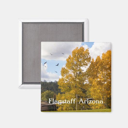 フラッグスタッフアリゾナ磁石の秋 マグネット (正面/裏面)