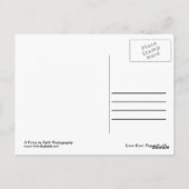 フラッグスタッフアリゾナ秋はがき ポストカード (裏面)