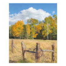 フラッグスタッフ草原