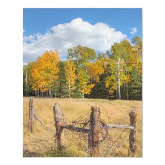 フラッグスタッフ草原 フォトプリント            (正面)