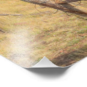 フラッグスタッフ草原 フォトプリント            (角)