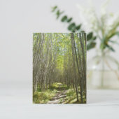 フラッグスタッフ《植物》アスペン ポストカード (スタンド正面)