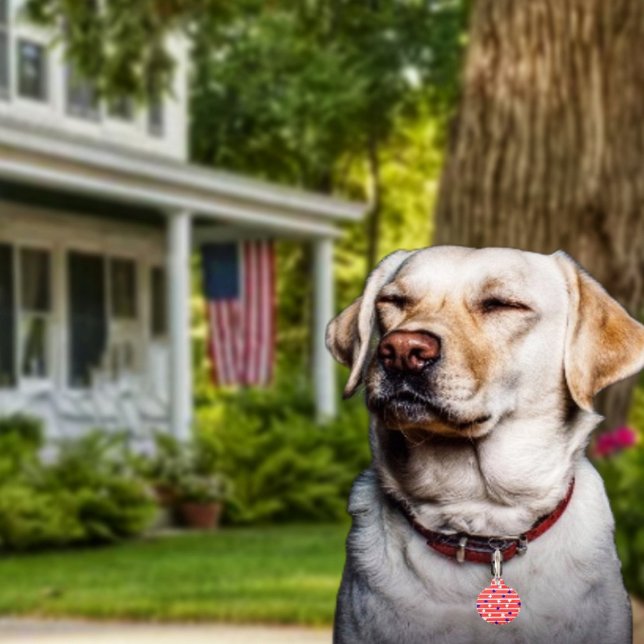 フラッグスター ペット　ネームタグ (Get Fido in on the patriotic fun, with his or her own Flag Stripes Pet ID Tag!)