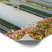 フラッグス,グッドマンレグランドハウス,タイラー,テキサス州 ポスター (角)