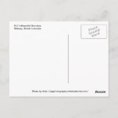 フラッグトレイルの途中 – ポストカード (裏面)