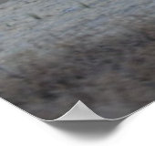 フラッグバーン – アメリカ西部 – ポスター (角)