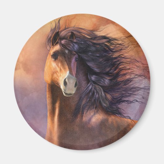 フラッシュマグネット マグネット (正面)