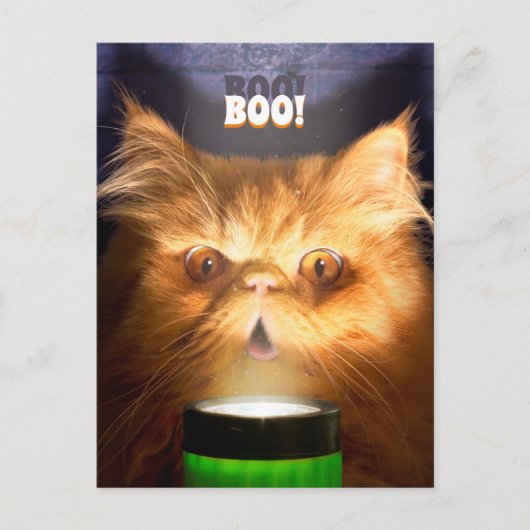 フラッシュライトを持った猫 インビテーションポストカード (正面)