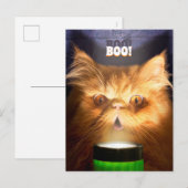 フラッシュライトを持つ猫 インビテーションポストカード (正面/裏面)