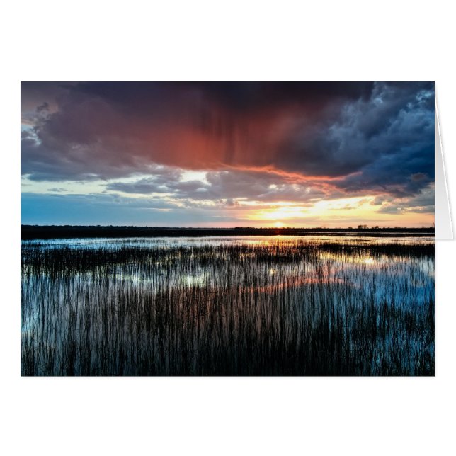 フラッシュ (正面横)