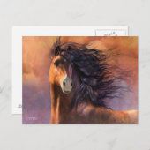 フラッシュ ポストカード (正面/裏面)