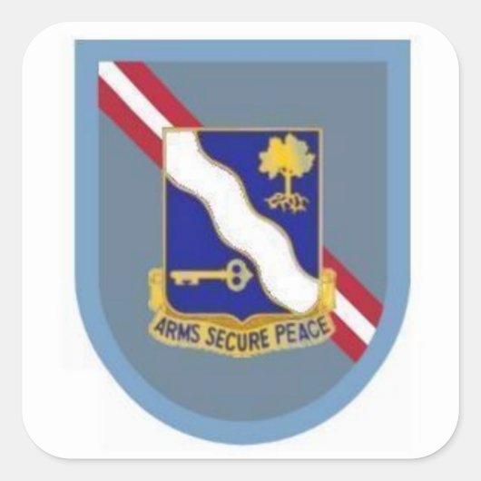 フラッシュDUI 1st Bn 143rd Inf 36th Abn Bdeスタンプ スクエアシール (正面)