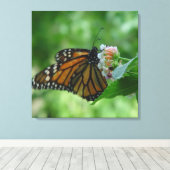 フラッタリング(昆虫)オオカバマダラ、モナークバタフライキャンバス キャンバスプリント (インサイチュ (ウッドフロア))