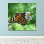 フラッタリング(昆虫)オオカバマダラ、モナークバタフライキャンバス キャンバスプリント (インサイチュ (ウッドフロア))