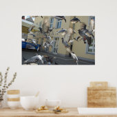 フラッタ ポスター (キッチン)