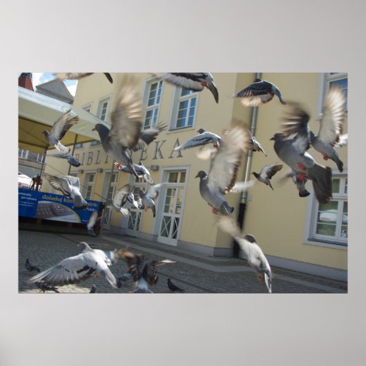 フラッタ ポスター (正面)